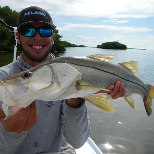 A Snook caught aboard the Double Threat on a Miami fishing charter