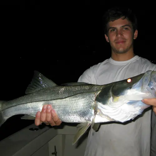 A Snook caught aboard the Double Threat on a Miami fishing charter