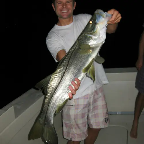 A Snook caught aboard the Double Threat on a Miami fishing charter