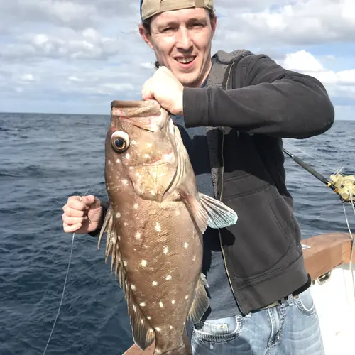 A Snowy Grouper caught aboard the Double Threat on a Miami fishing charter