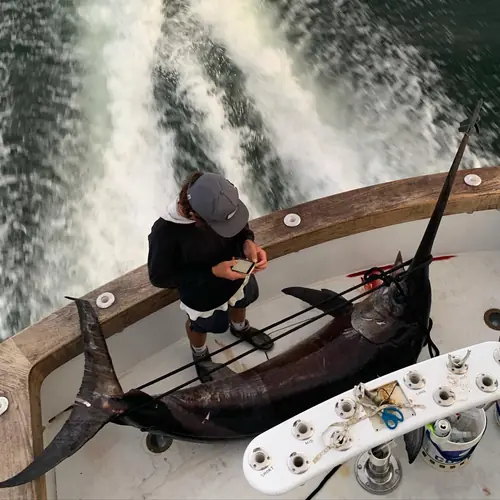 A Swordfish caught aboard the Double Threat on a Miami fishing charter