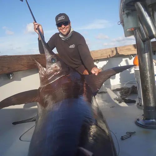 A Swordfish caught aboard the Double Threat on a Miami fishing charter