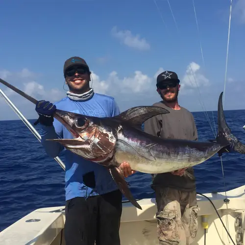 A Swordfish caught aboard the Double Threat on a Miami fishing charter