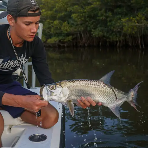 A Tarpon caught aboard the Double Threat on a Miami fishing charter