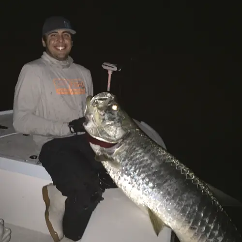 A Tarpon caught aboard the Double Threat on a Miami fishing charter