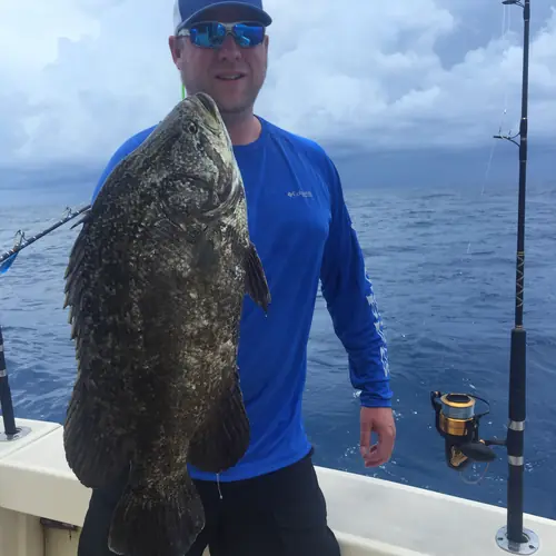 A Tripletail caught aboard the Double Threat on a Miami fishing charter