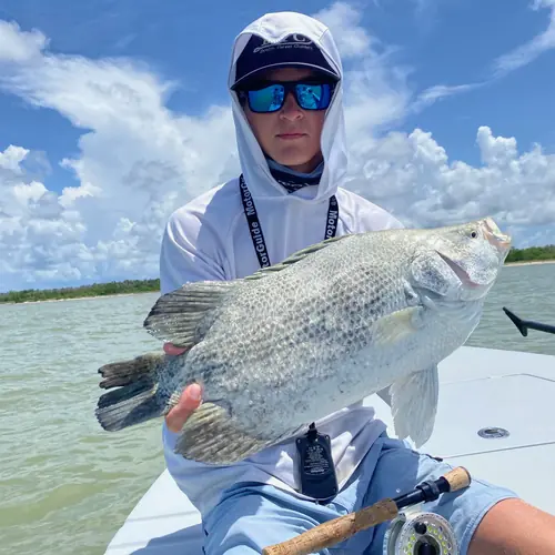 A Tripletail caught aboard the Double Threat on a Miami fishing charter
