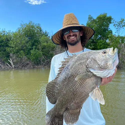 A Tripletail caught aboard the Double Threat on a Miami fishing charter