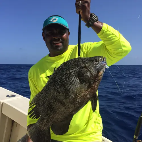 A Tripletail caught aboard the Double Threat on a Miami fishing charter