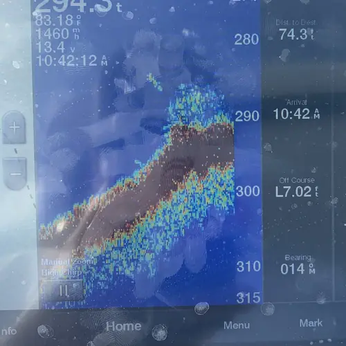 Vermillion snapper appearing on the sonar