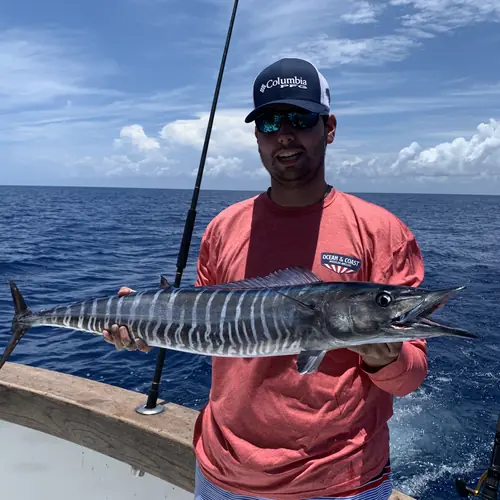 A Wahoo caught aboard the Double Threat on a Miami fishing charter