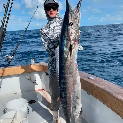 A Wahoo caught aboard the Double Threat on a Miami fishing charter