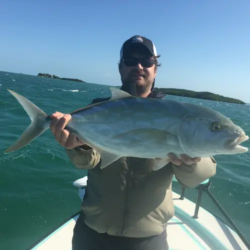 A Yellow Jack caught aboard the Double Threat on a Miami fishing charter