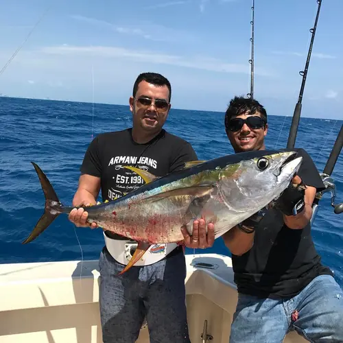 A Yellowfin Tuna caught aboard the Double Threat on a Miami fishing charter