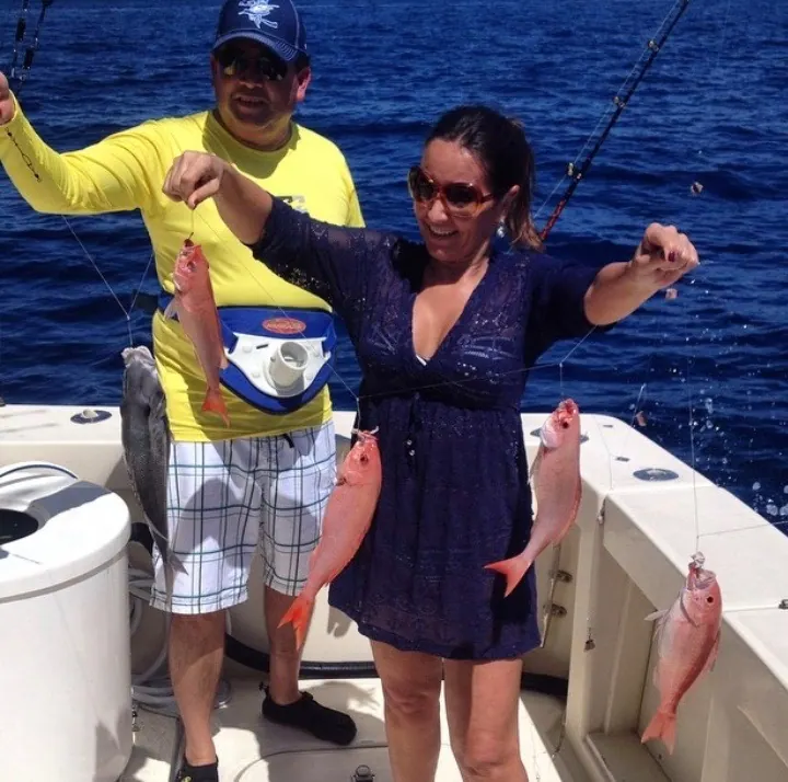 Chicken Rigs for Snapper and Grouper
