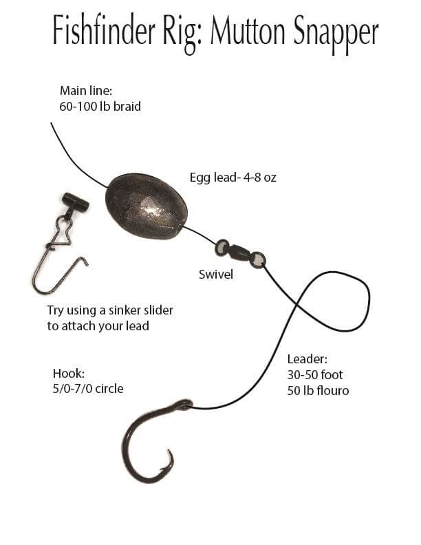 Fishfinder Rig for Mutton Snapper