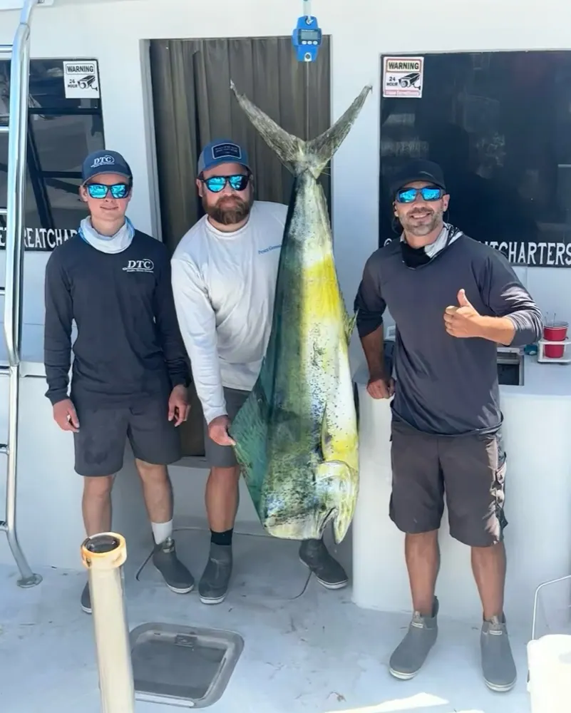 57 pouind dolphin off Miami 1
