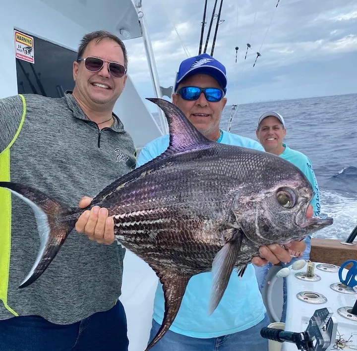 Miami pomfret