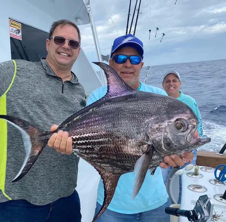 Pomfret