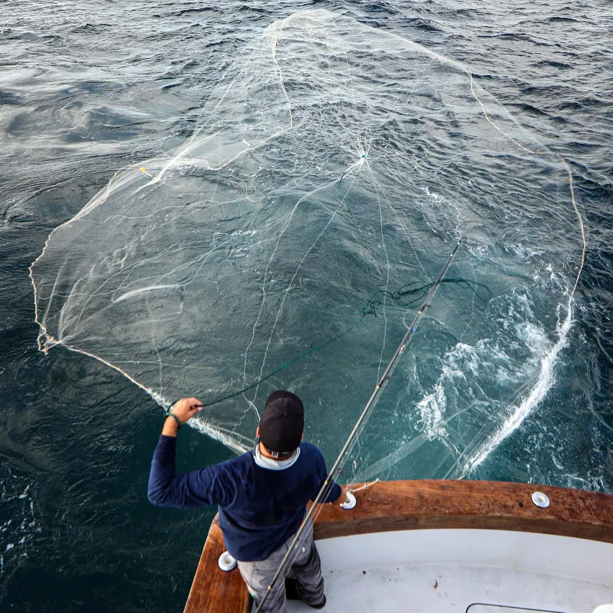 throwing the cast net