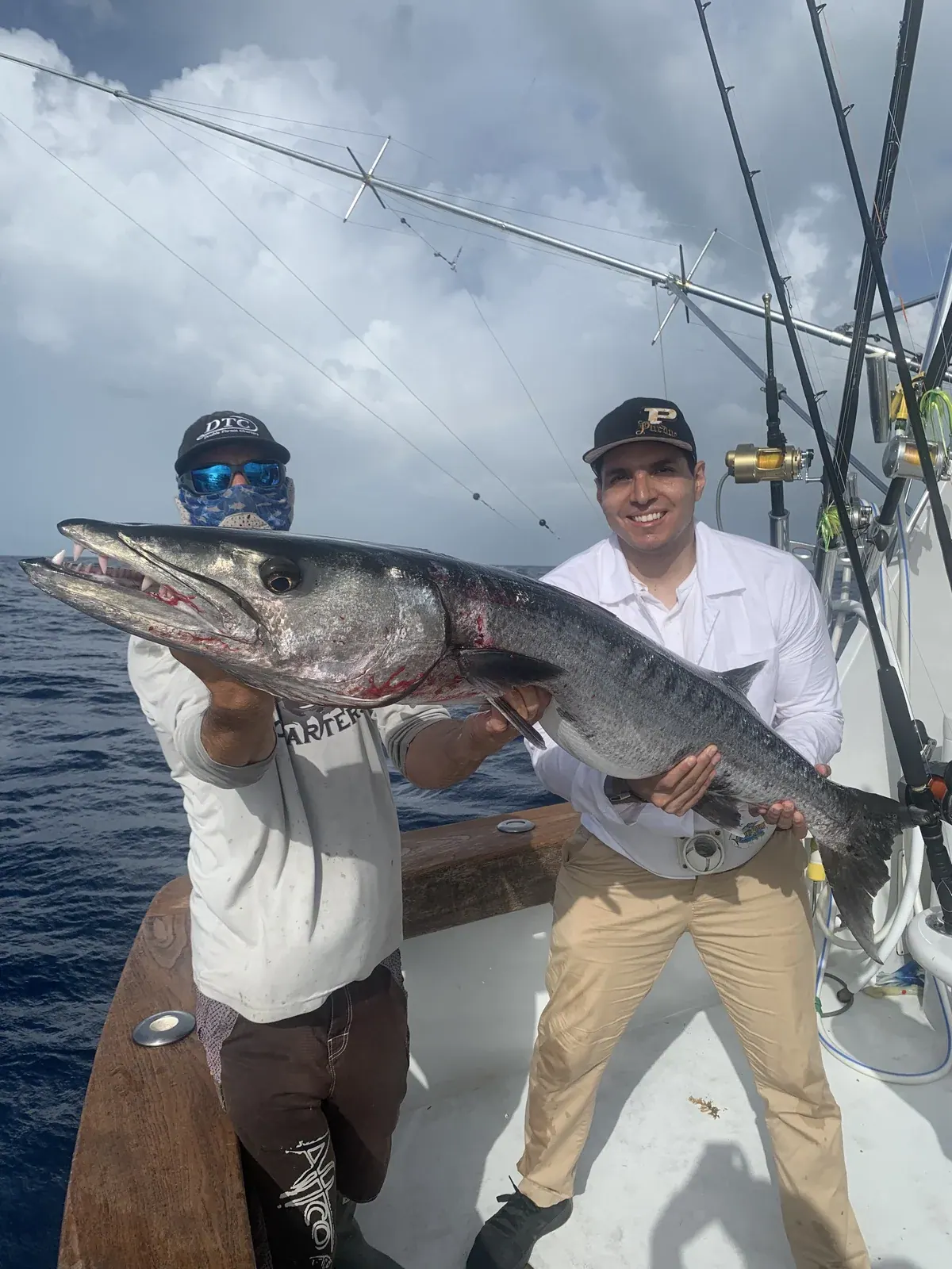 barracuda caught on a wreck