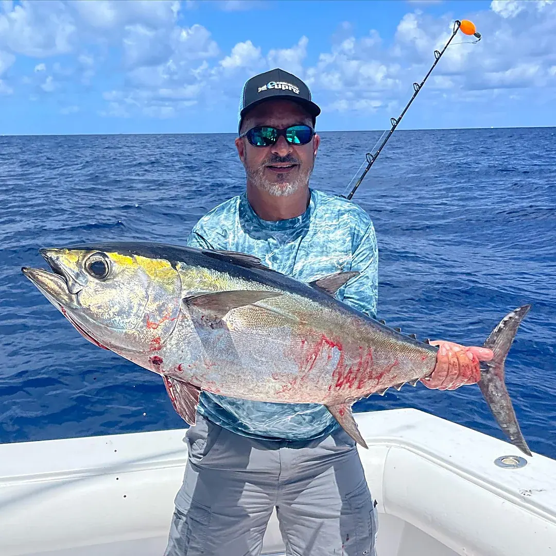 Blackfin Tuna