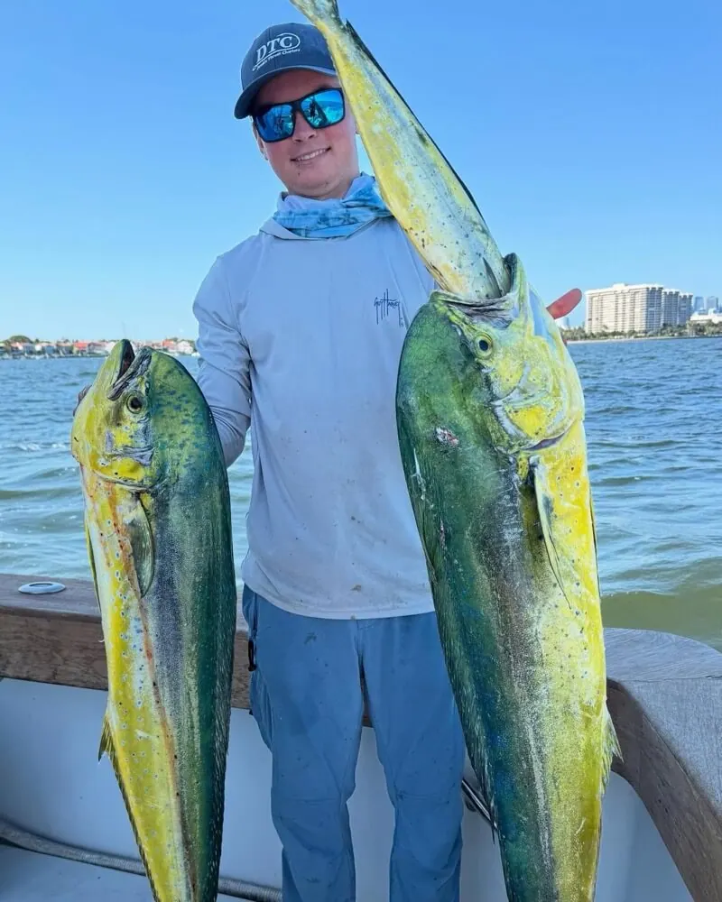 gaffer dolphin off Miami