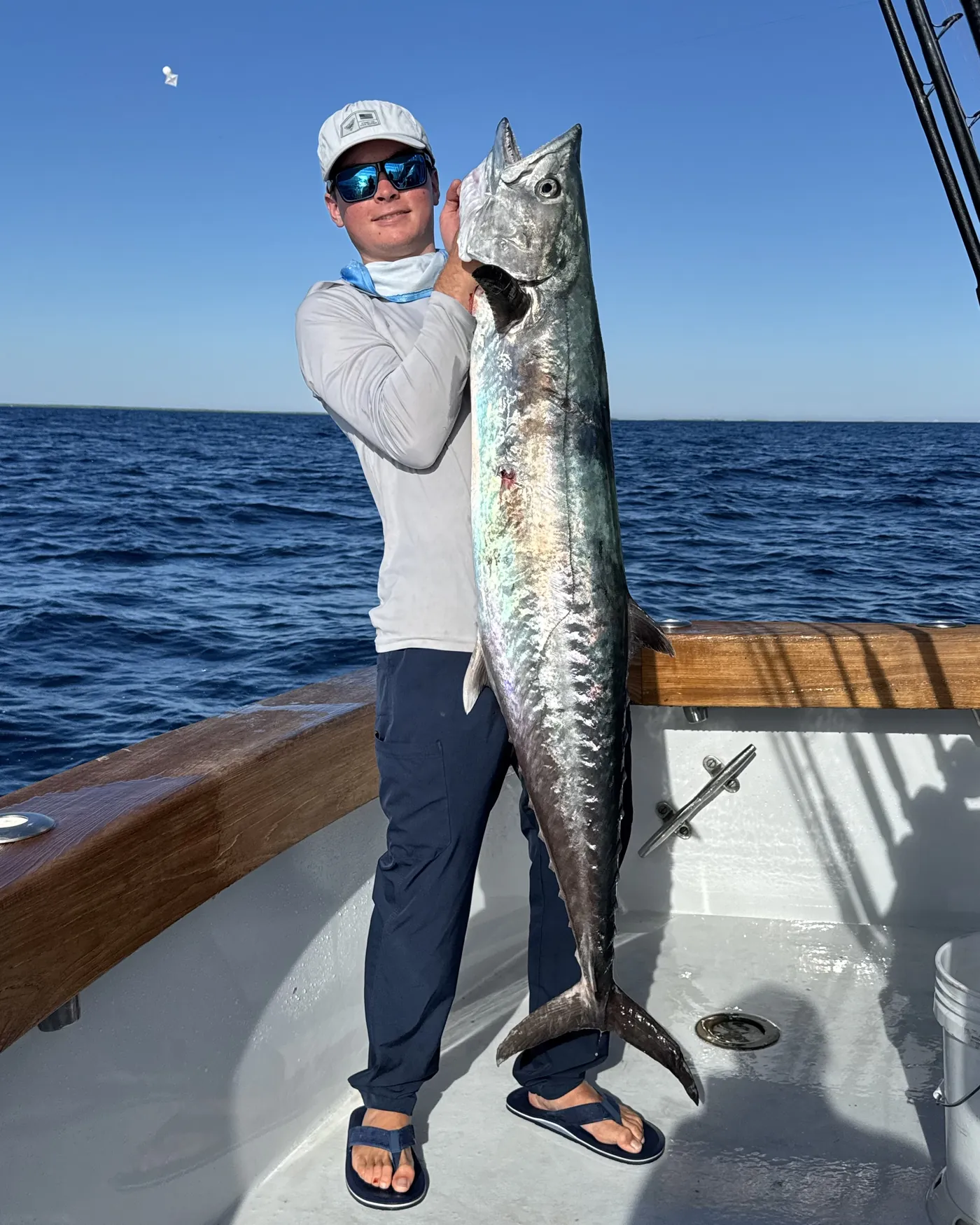 Kingfish off Miami