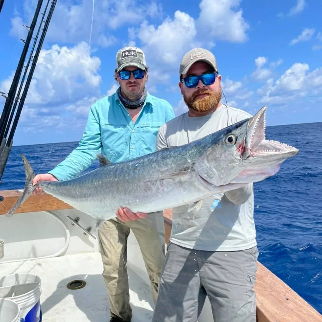 Kingfish