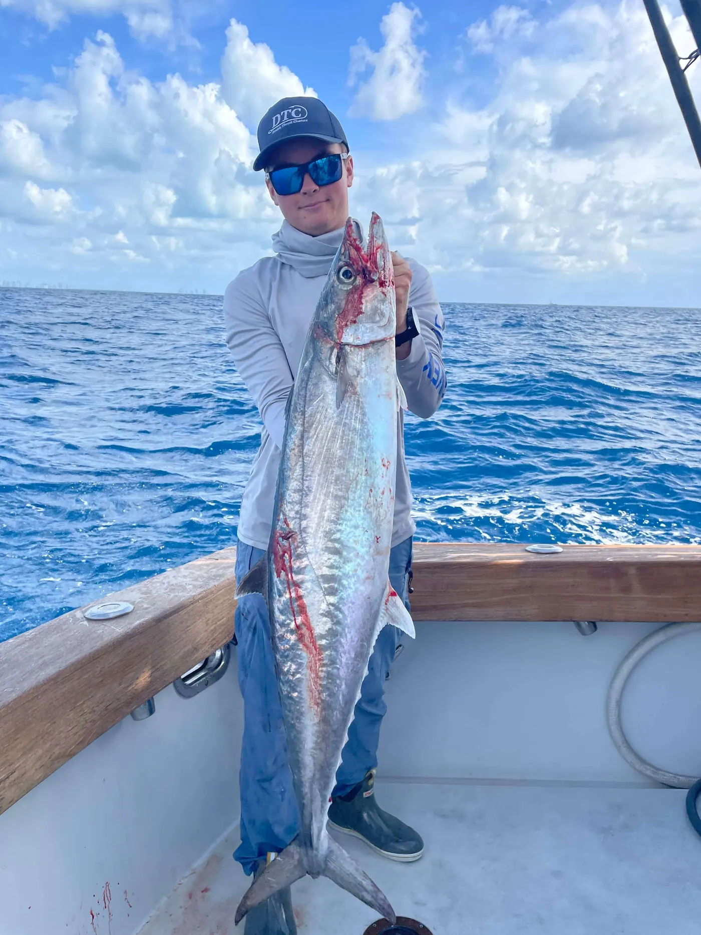 fresh kingfish off Miami