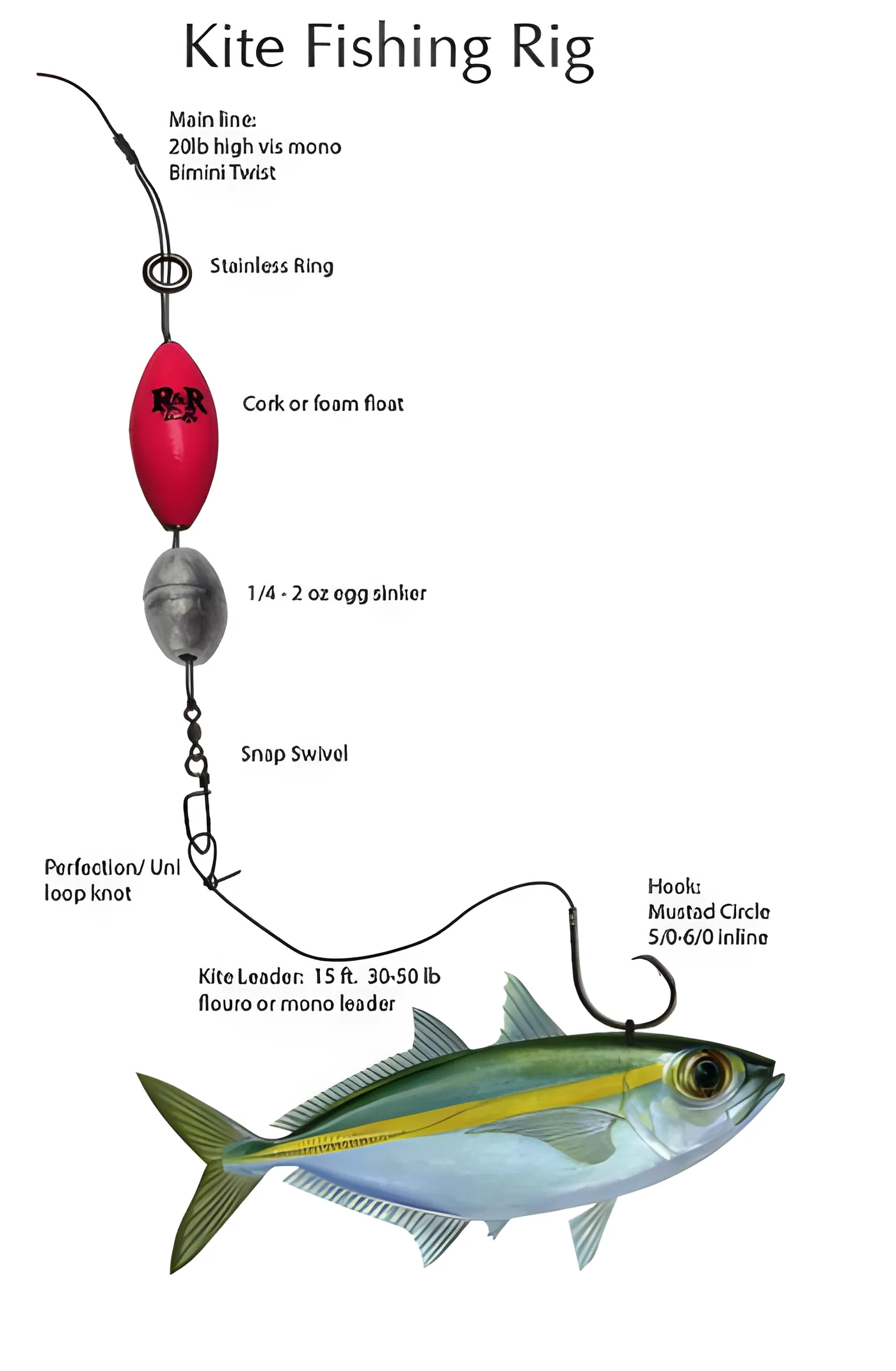 ace hardware fishing rod holders Ice Holder. Northern Pike! Shipping Included! – Papas Fish Tales Dinosaur Themed 20-Gallon Fish Size:#2 (8pk) rockfish The holder rotates through