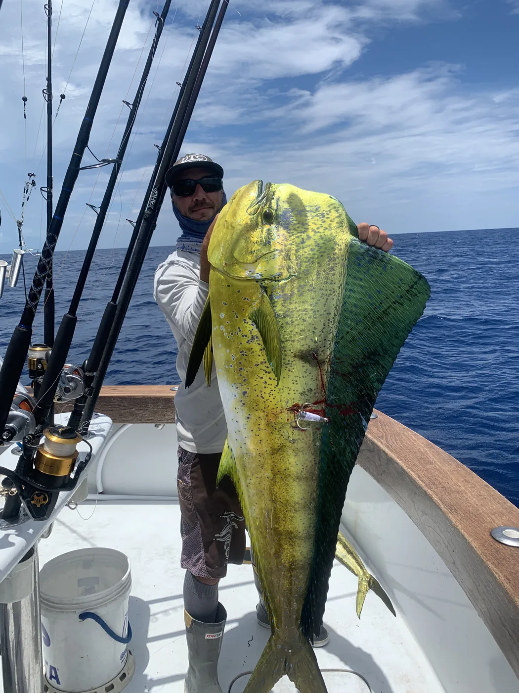 Bull mahi-mahi caught on a full-day Miami deep sea charter