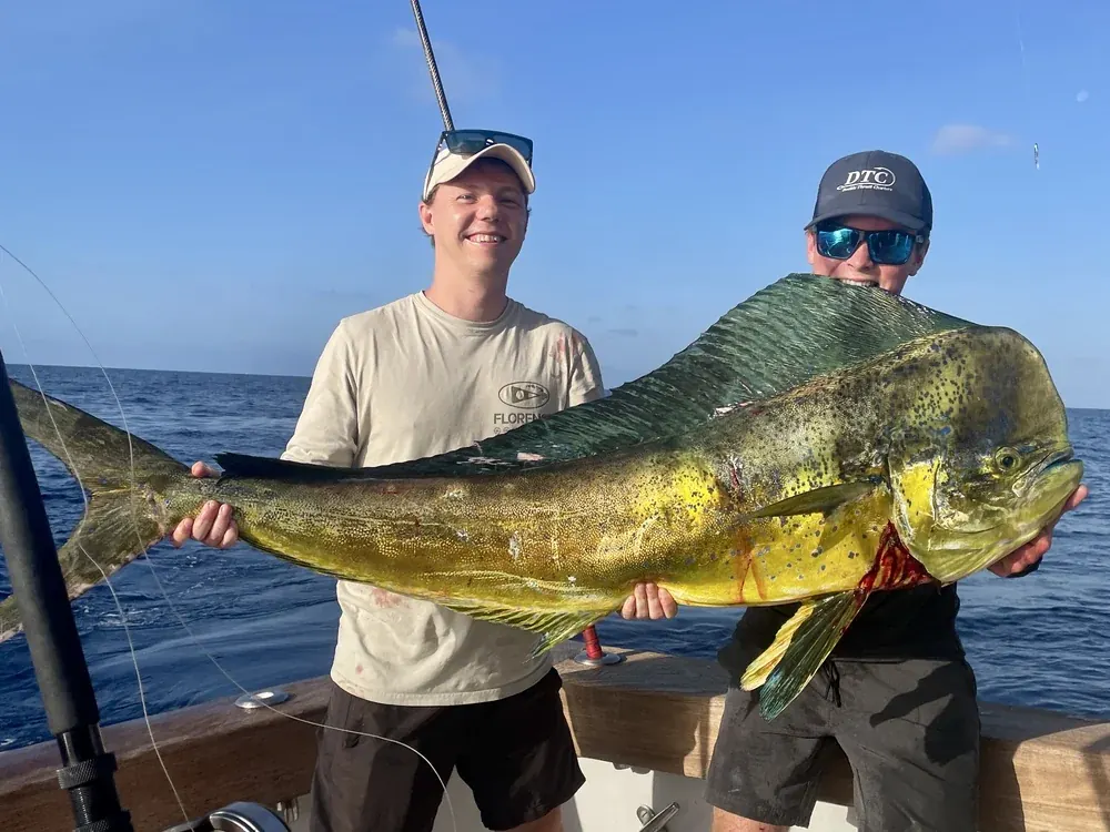Mahi-Mahi