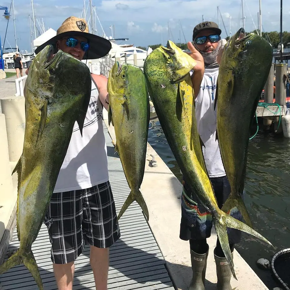 mahi fishing
