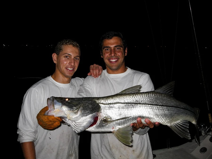 Anglers with a snook landed at night in a lit Miami inlet