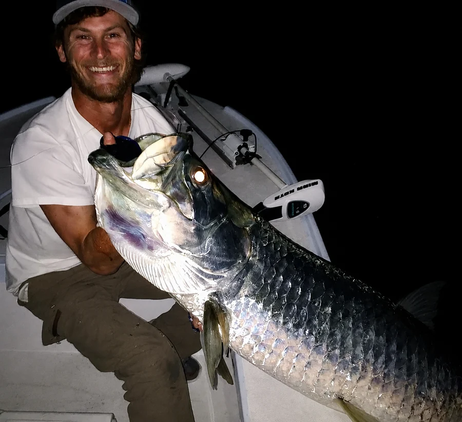 A tarpon boatside after dark on a Miami night charter