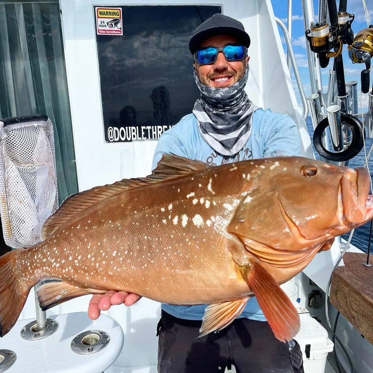 Red Grouper