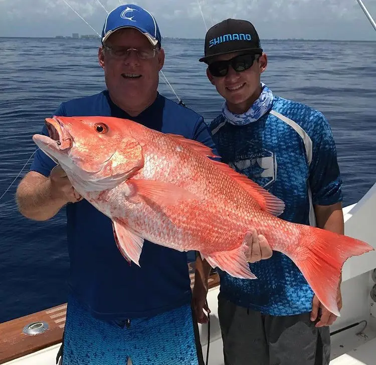 Red Snapper