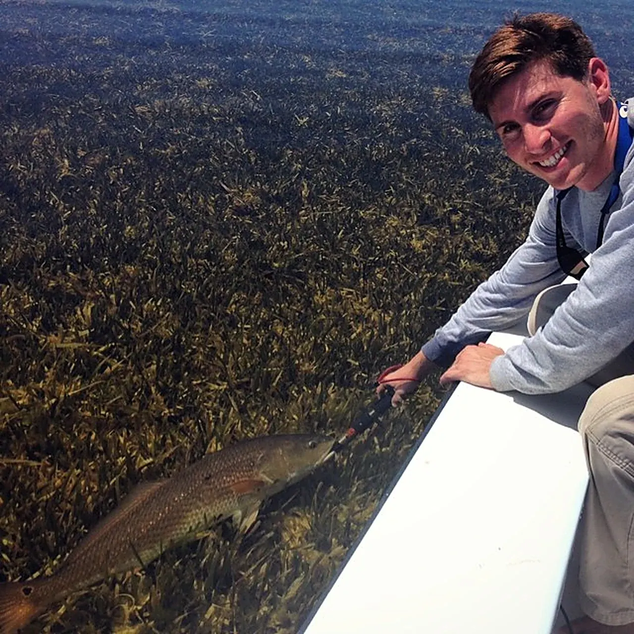 Redfish