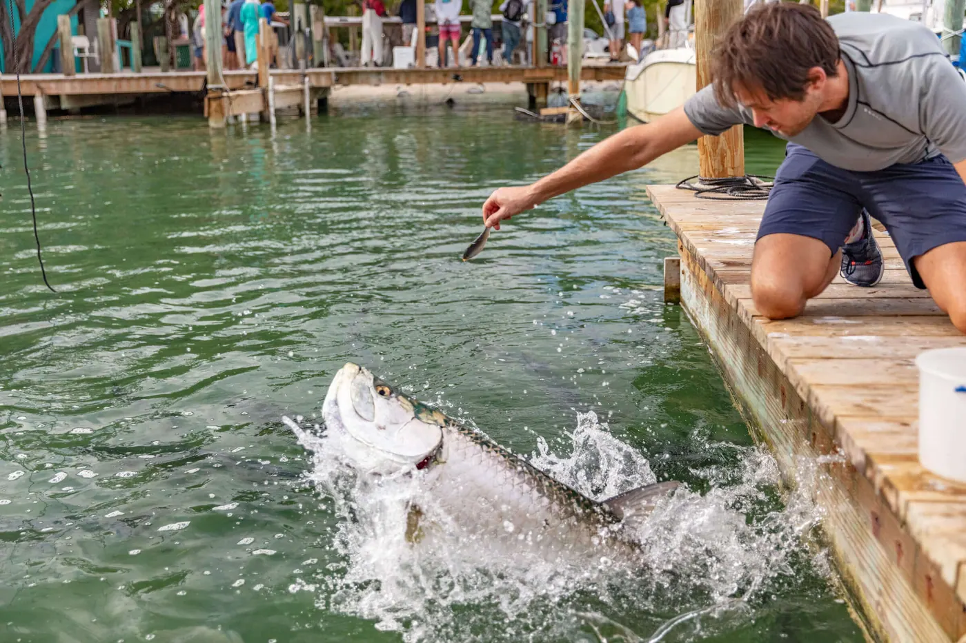 robbies of islamorada