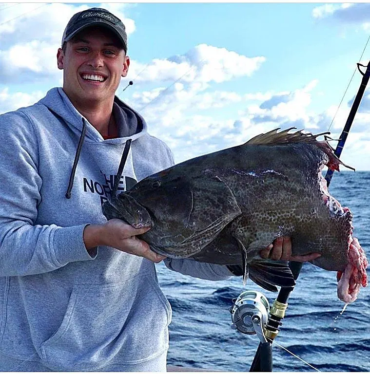 What is left of a hooked fish after a shark got to it first