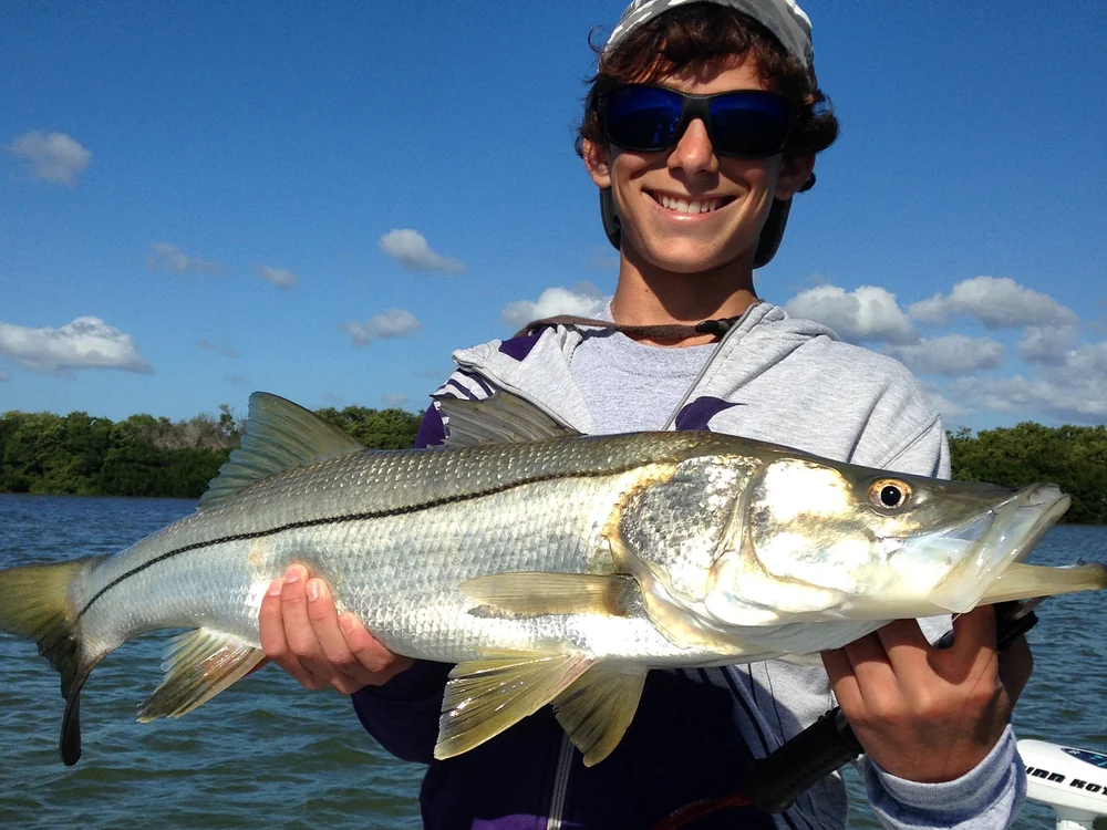 Snook