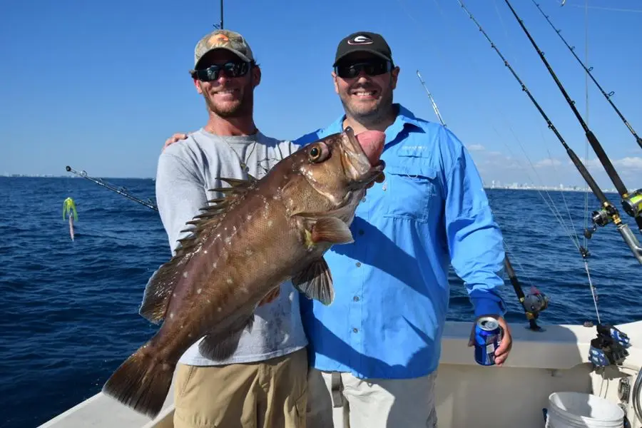 Snowy Grouper