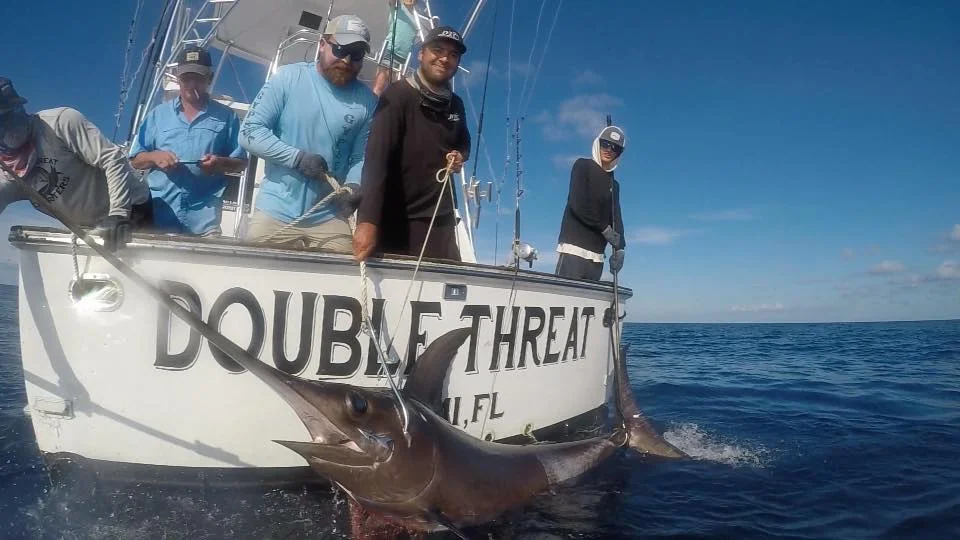 A big swordfish boatside at the transom of the Double Threat off Miami