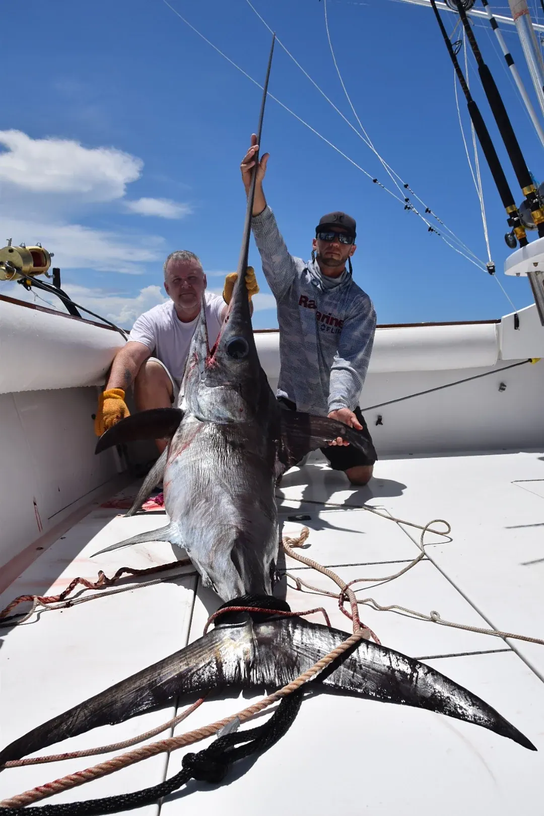 A broadbill swordfish caught off Miami