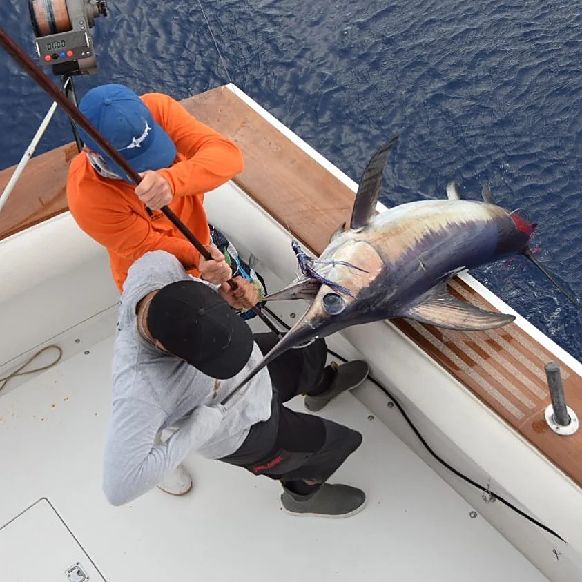 Crew bringing a swordfish over the gunnel aboard the Double Threat off Miami