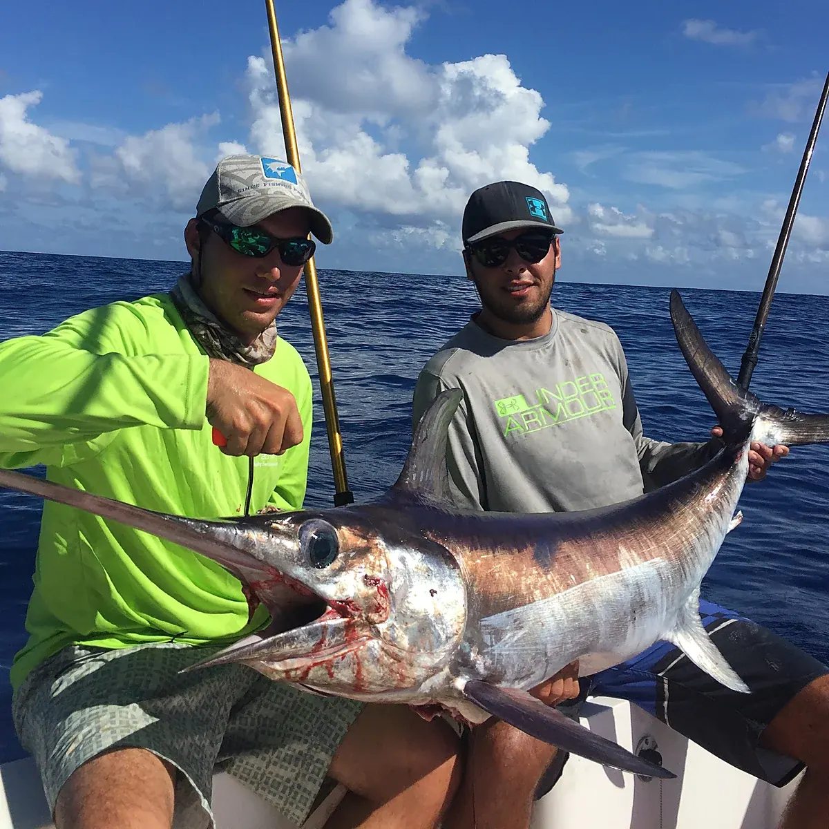 A smaller daytime swordfish off Miami