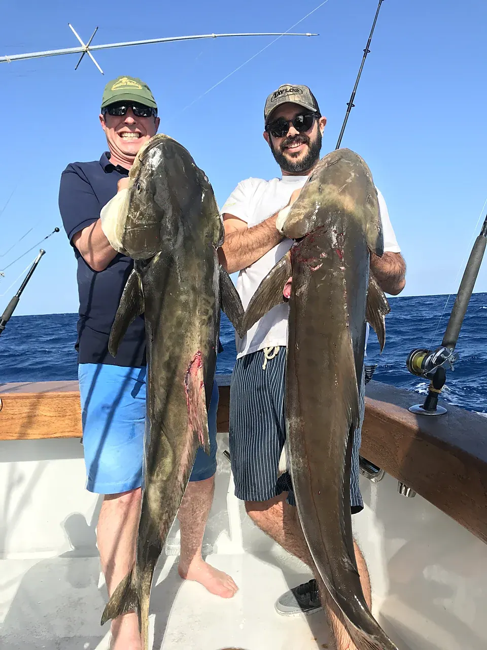Two cobia caught on a Miami deep sea fishing charter