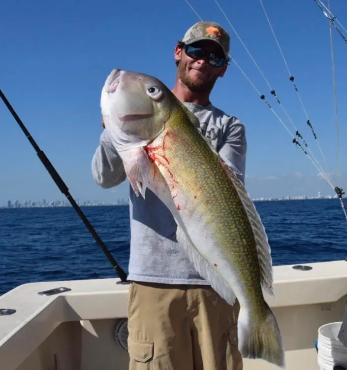 Golden Tilefish