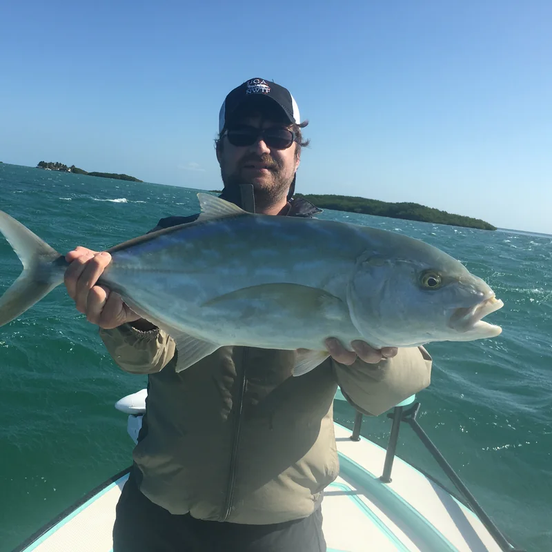 Yellow Jack